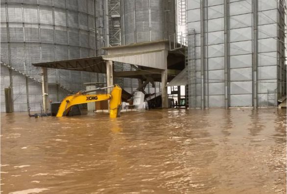 Destruição de lavouras de soja no Rio Grande do Sul pode encarecer frango, porco e óleo