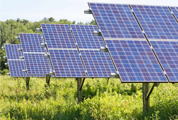 Livramento: Placas solares e fiações são furtadas na zona rural  